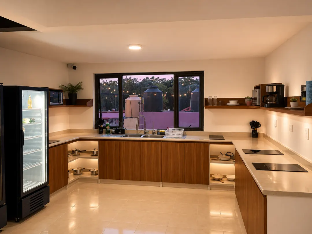 Vibe Living shared kitchen with glass-door fridges